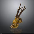 Deer Skull With Antlers On Dark Background Showing Bone Structure And Reflection