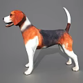 Tri Color Beagle Dog Standing On Gray Background With Shadow 3d model