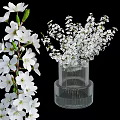 Beautiful White Cherry Blossoms Arranged in Ribbed Transparent Vase for Home Decoration