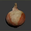 Fresh Red Onion With Red And White Skin On Gray Background Close Up View