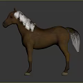 Brown Horse with Gray Mane Standing on Shiny Gray Background