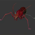 Red Insect With Long Legs And Antennae On Gray Background With Reflection 3d model