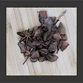 Natural Dried Brown Plant Pods Arranged On Wooden Cutting Board