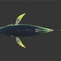 Modern Tuna Tuna 3d model