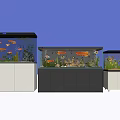 Three Aquarium Fish Tanks With White And Dark Cabinets Fish And Plants