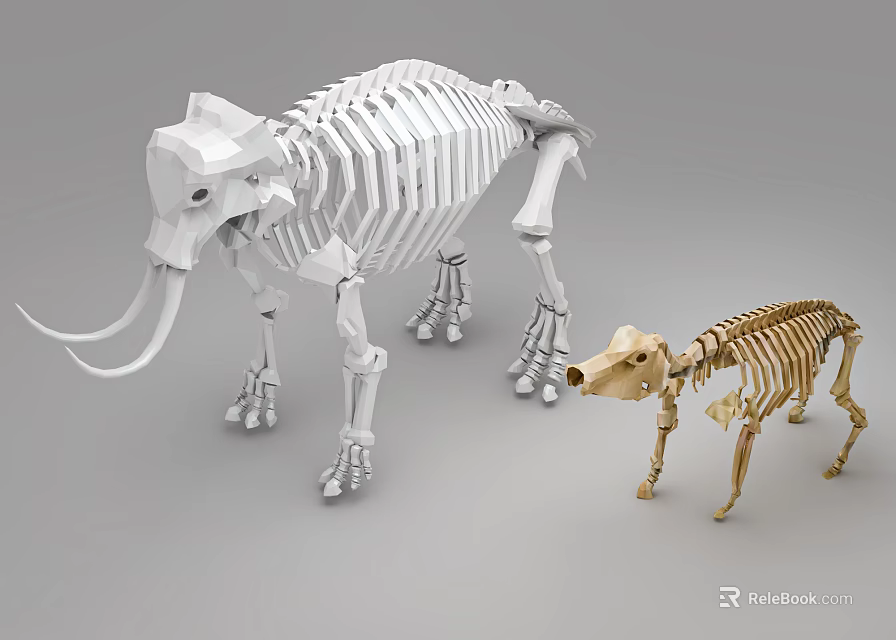 Medical Anatomical Skeleton Models For Educational Use With White Elephant And Golden Dog Structures 3d model 