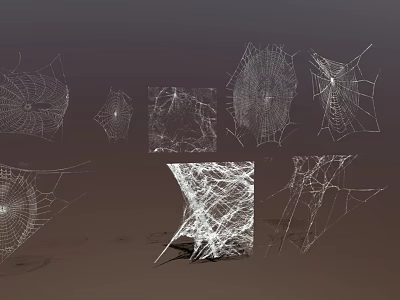 Artistic 3D Spider Webs With Various Geometric Shapes And Intricate Patterns 3d model