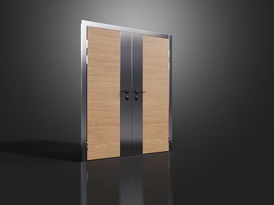 Modern Double Doors Design With Wooden Panels And Sleek Metal Frames 3d model