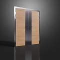 Modern Double Doors Design With Wooden Panels And Sleek Metal Frames