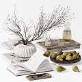 Modern Minimalist Decorative Ornament Set with White Vase Dried Branches Glass Carafe Books and Pears