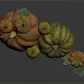Fresh Pumpkins In Various Sizes And Different Colors On White Background