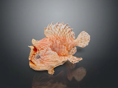 Orange Striped Aquatic Animal With Frilly Fins On Dark Reflective Surface 3d model