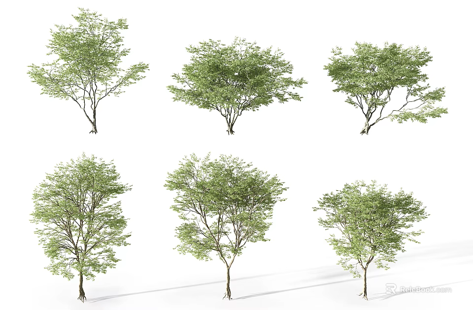 Different Types Of Arbor Trees With Green Leaves And Various Crown Shapes 3d model 