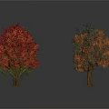 Five Seasonal Trees with Red Orange White Foliage and Various Forms