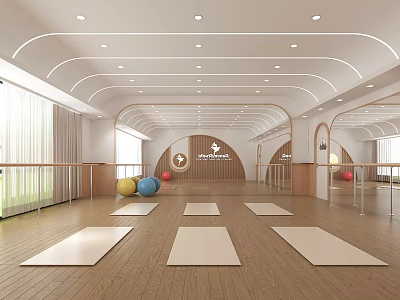 Spacious Yoga Studio Interior Equipped With Mats Exercise Balls And Barres 3d model