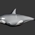3D Shiny Blue Orca Model With Glossy Surface And Realistic Design