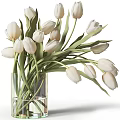 Fresh White Tulips in Transparent Glass Vase Decorative Floral Arrangement