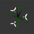 Beautiful Snowdrop Plant With Green Stems Leaves And White Flowers