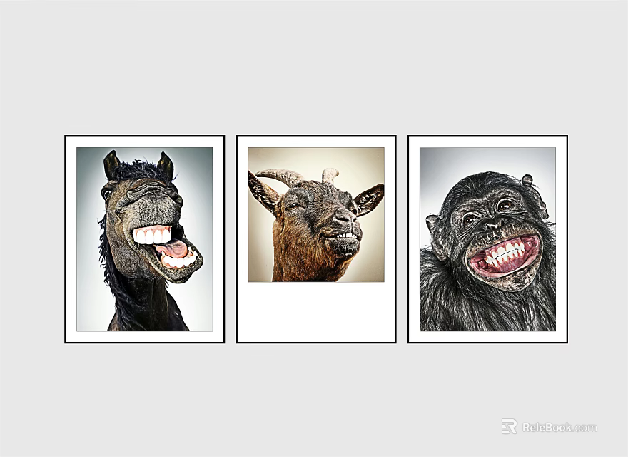 Framed Animal Paintings of Smiling Horse Goat and Chimpanzee with Open Mouth and Teeth 3d model 