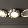 Modern White Ceiling Lights With Flower Shaped And Round Design Soft Illumination 3d model