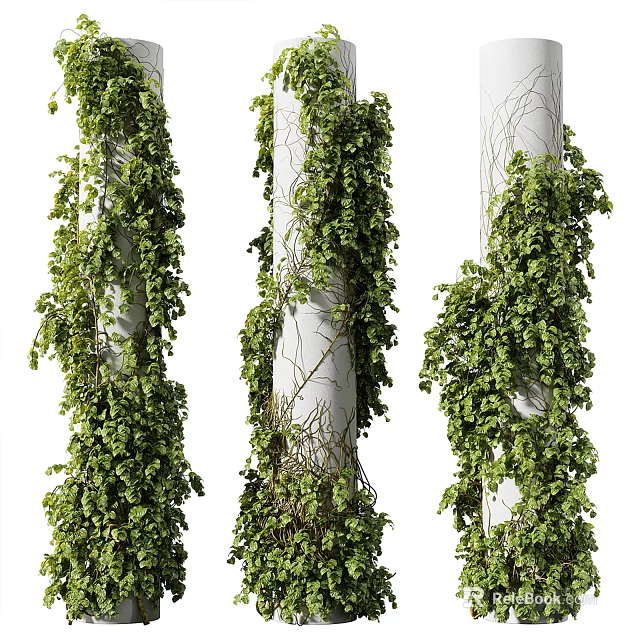 Lush Green Leafy Vines Climbing on White Columns Natural Decorative Foliage 3d model 