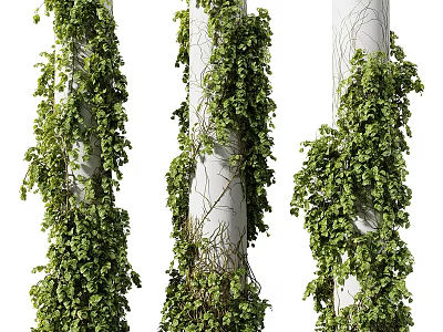 Lush Green Leafy Vines Climbing on White Columns Natural Decorative Foliage 3d model