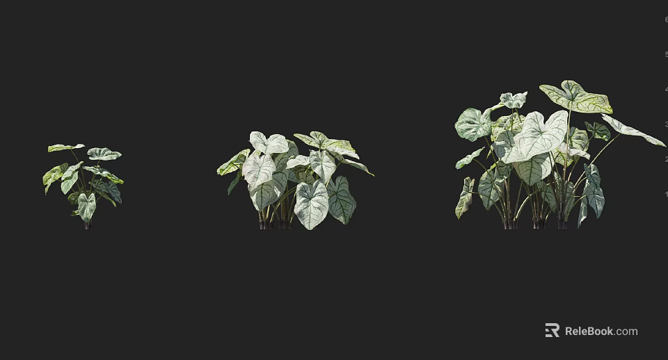 Decorative Leafy Shrubs With Variegated Green And White Leaves For Garden Landscaping 3d model 