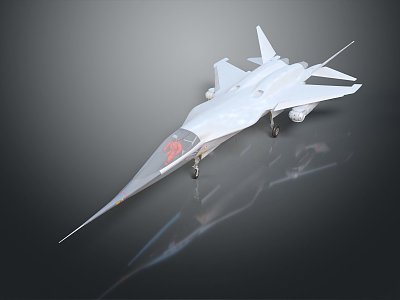 Modern Fighter Next Generation Aircraft model