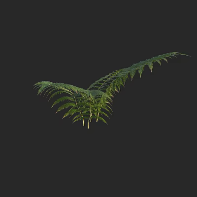 Modern Golden Hair Dog Fern 3d model