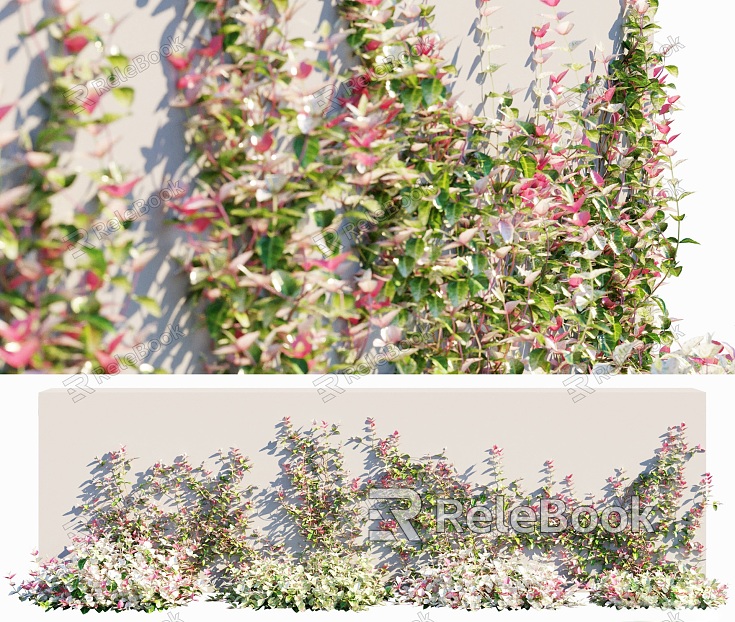 Modern Vine Variegated Asian Jasmine Vine Plant Long Notation Pain Flowering Asian Rock Grass Jasmine Creative Climbing Vine Wall Plant Vine model