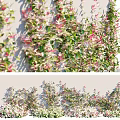 Lush Climbing Vines With Green And Pink Leaves Growing On White Wall Decoration