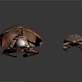 Two Dark Brown Glossy Beetles With Textured Exoskeleton Isolated On Dark Background 3d model