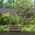 Tropical Plant Combination With Lush Greenery Various Plants Stone Steps And Wall