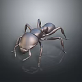 Detailed Metallic Ant Model With Shiny Texture On Black Background