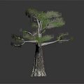 Unique Curved Trunk Tree With Lush Green Foliage Against Dark Background With Reflection