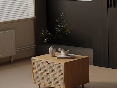 Wooden Side Table With Wicker Drawers Vase Plant And Stack Of Plates In Modern Interior 3d model