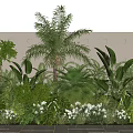 Lush Tropical Plant Combination with Palm Tree Green Foliage White Flowers and Textured Wall