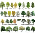 Modern Tree Landscape Trees 3d model