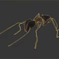 Detailed Ant With Long Antennae And Legs Dark Body Red Head Features