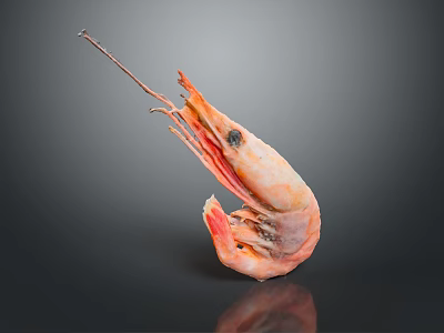 Fresh Orange Cooked Shrimp With Curved Body And Long Antennae On Dark Background 3d model