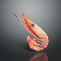 Fresh Orange Cooked Shrimp With Curved Body And Long Antennae On Dark Background