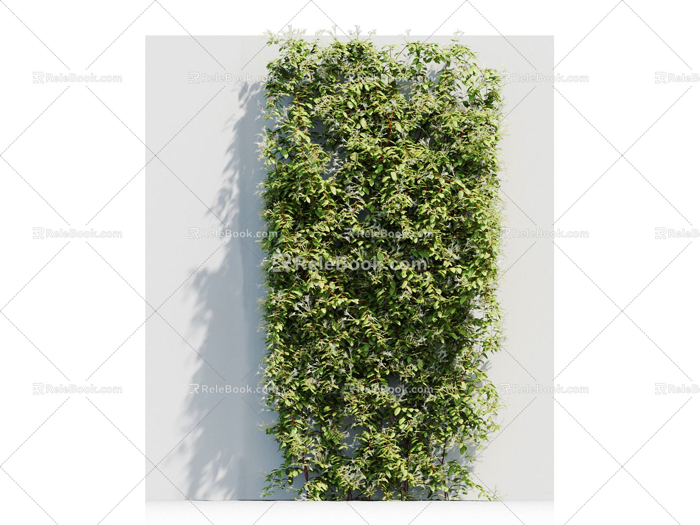 Modern Vine Vine Plant 3d model