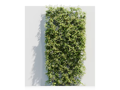 Dense Green Vines Covering Vertical Outdoor Wall Creating Natural Garden Landscape 3d model