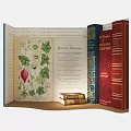 Book Themed Photo Spot With Open Book Botanical Illustrations And Colorful Vintage Book Stack
