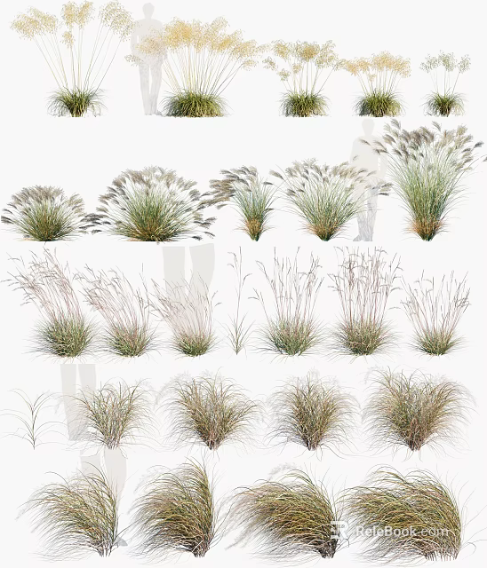 Various Different Types of Grass Plants with Different Heights Forms and Green Light Brown Colors 3d model 
