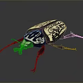 Black and White Patterned Beetle with Intricate Carapace Design Long Antennae and Segmented Legs