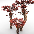 Cartoon Style Trees With Red Leaves Twisted Trunks And Small Orange Fruits