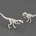 Public Facility Natural History Museum Exhibit With Two Detailed Dinosaur Skeleton Models