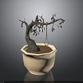 Bonsai Plant With Thin Trunk And Twisted Branches In Beige Octagonal Pot With Red Soil