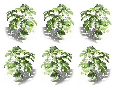 Lush Green Leafy Potted Plants With Vibrant Foliage For Indoor Decoration 3d model
